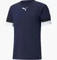 Футболка мужская Puma Teamrise Jersey Blue 704932-06