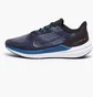 Кросівки чоловічі Nike Air Winflo 9 Blue DD6203-400