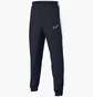 Штаны детские Nike Academy Black Ar7994-452