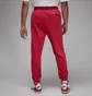 Штаны мужские Air Jordan Essentials Red FB7298-619