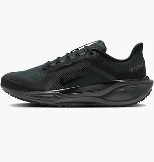 Кроссовки мужские Nike Air Zoom Pegasus 41 Gtx Black FQ1356-001
