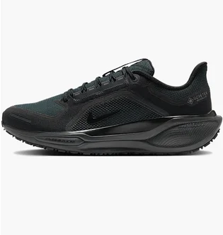 Кросівки чоловічі Nike Air Zoom Pegasus 41 Gtx Black FQ1356-001