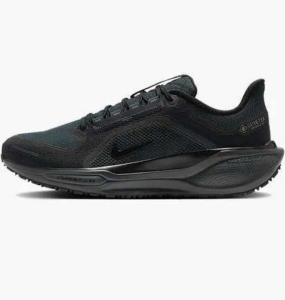 Кросівки чоловічі Nike Air Zoom Pegasus 41 Gtx Black FQ1356-001
