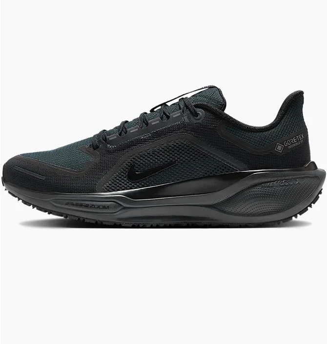 Кросівки чоловічі Nike Air Zoom Pegasus 41 Gtx Black FQ1356-001