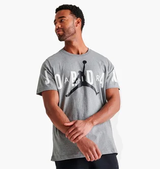 Футболка мужская Air Jordan Air Stretch T-Shirt Grey Dv1445-091