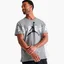 Футболка мужская Air Jordan Air Stretch T-Shirt Grey Dv1445-091