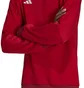 Свитшот мужской Adidas Sweatshirt Tiro23 C Co Cre Red HI4709