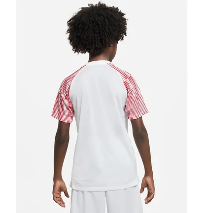 Футболка детская Nike Dri-Fit Academy White DH8369-100