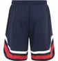 Шорты мужские Fila Lashio Baseball Shorts Blue FAM065150004