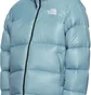 Пуховик унисекс The North Face Exclusive Shine Light Blue NF0A3C8D39F