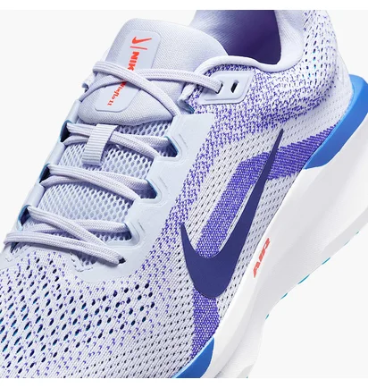 Кросівки чоловічі Nike Air Winflo 11 Light Blue FJ9509-006