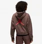 Худи женское Air Jordan X Paris Saint-Germain Fleece Hoodie Brown DN3346-291