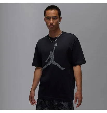 Футболка чоловіча Air Jordan Brk Mg Fill Ss Crew Black IF0399-010