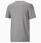 Футболка мужская Puma Graphic Tee Grey 678786-03