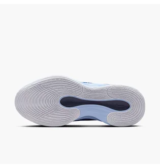 Кроссовки мужские Nike Gt Hustle Academy Blue FJ7791-401