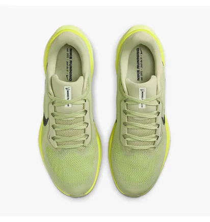 Кроссовки мужские Nike Air Zoom Pegasus 41 Green FD2722-303
