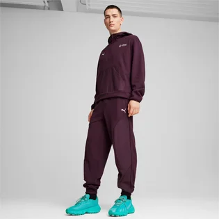 Штаны мужские Puma Mapf1 Statement Violet 627304-08