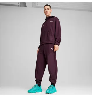Штаны мужские Puma Mapf1 Statement Violet 627304-08