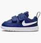 Кросівки дитячі Nike Pico 5 Blue AR4162-400