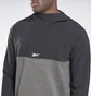 Худі чоловіче Reebok United By Fitness Myoknit Grey HA9077