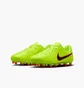 Бутсы детские Nike Legend 10 Club Fg/Mg Green DV4352-701