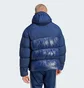 Пуховик чоловічий Adidas Adicolor Down Regen Hooded Puffer Jacket Blue IL2570