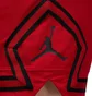 Шорты мужские Air Jordan Sport Dri-Fit Red FQ2989-687