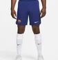 Шорты мужские Nike Dri-Fit Fc Barcelona Stadium 2023/24 Blue DX2709-455
