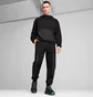 Штаны мужские Puma Mapf1 Statement Black 627304-01