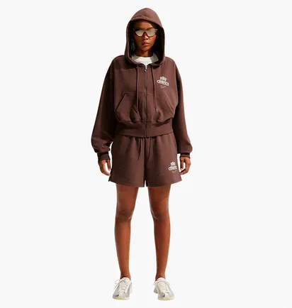 Толстовка жіноча Nike Phoenix Brown IO4757-216
