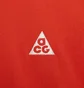Футболка мужская Nike Acg T-Shirt Orange DJ3642-809