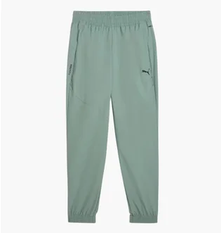 Штаны мужские Puma Pumatech Green 631163-30