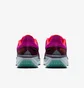 Кроссовки женские Nike Air Winflo 11 Gtx Bordo/Violet HM8871-500