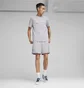 Футболка мужская Puma Mercedes-Amg Petronas Motorsport Grey 623759-02