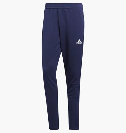 Штаны мужские Adidas Condivo 18 Cv8243 Blue