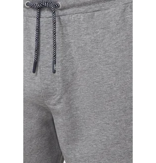 Шорты мужские CMP Bermuda Grey 32D8137M-U804