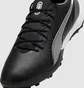Сороконожки унисекс Puma King Match Tt Black/Grey 107879-01