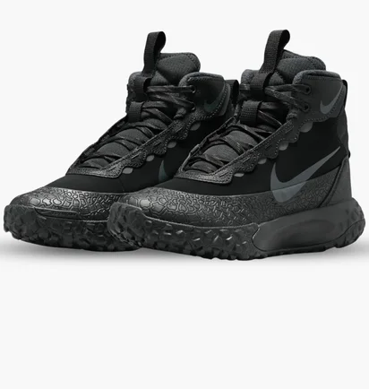 Кросівки дитячі Nike Terrascout Black IH7683-001