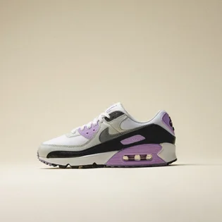 Кроссовки женские Nike Air Max 90 Beige DH8010-103