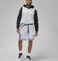 Шорти чоловічі Air Jordan M J Df Sprt Bc Aop Dmnd Short Grey DZ0561-043