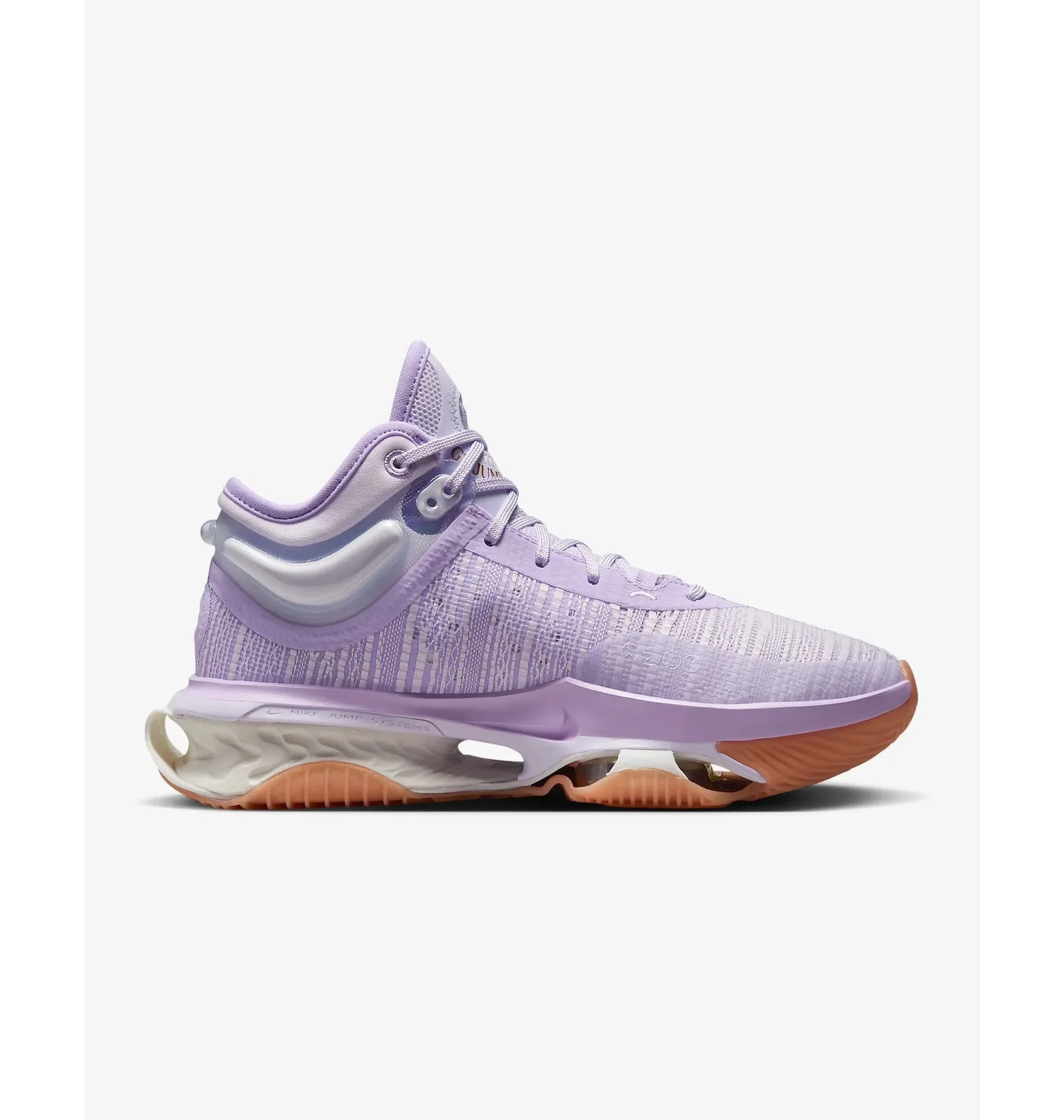 ᐉ Кроссовки женские Nike Air Zoom Gt Jump 2 Violet HF1572-500