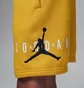 Шорты детские Air Jordan Sustainable Yellow 95B911-Y3E