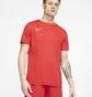 Футболка чоловіча Nike M Df Park Vii Jsy Ss Red Bv6708-657