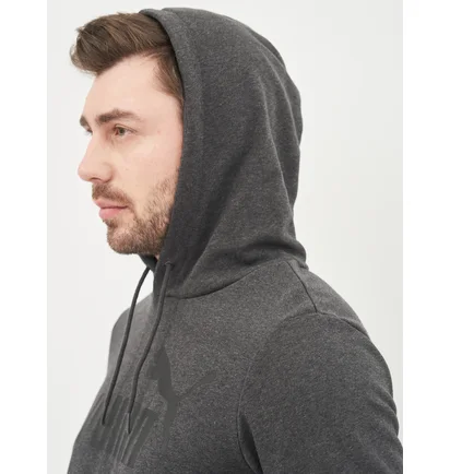 Худи мужское Puma Ess Big Logo Hoodie Grey 58668807