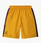 Шорты мужские AUSTRALIAN Smash Short Chaos Yellow HCUSH0013-425
