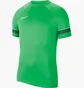 Футболка мужская Nike Academy 21 Dry Ss Tee Green Cw6101-362