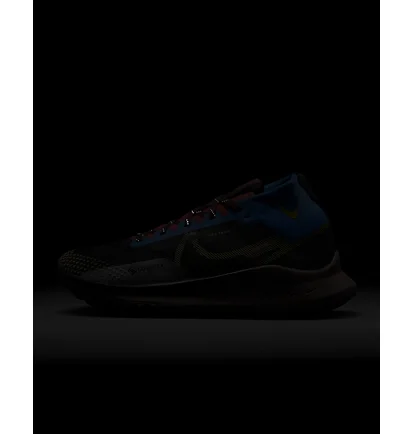 Кросівки жіночі Nike Pegasus Trail 4 Gore-Tex Waterproof Trail Running Shoes Black DJ7929-003