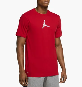 Футболка мужская Air Jordan Performance GFX Crew T-Shirt Red CZ8087-687