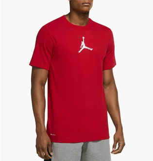 Футболка чоловіча Air Jordan Performance GFX Crew T-Shirt Red CZ8087-687