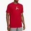 Футболка мужская Air Jordan Performance GFX Crew T-Shirt Red CZ8087-687
